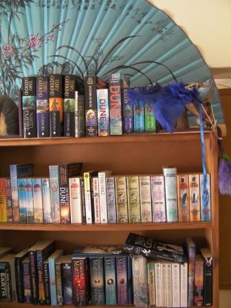 Fantasy in all its forms