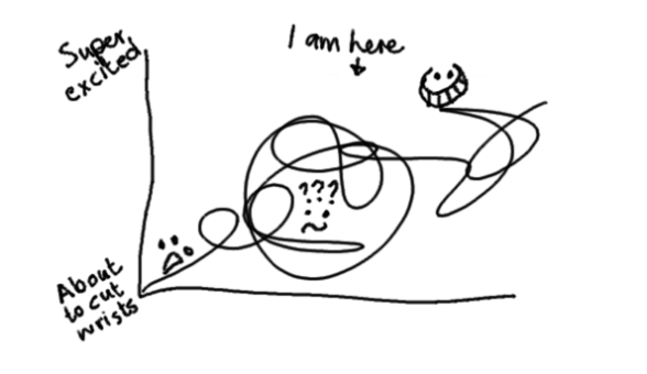 Emotional Rollercoaster