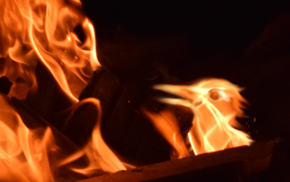 Phoenix Fire - beta reading