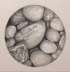 Phoenix Fire - illustrator and designer