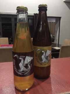 Phoenix Fire - illustrator and designer